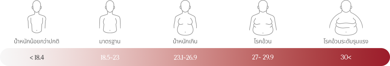 น้ำหนักน้อยกว่าปกติ：18.4、มาตรฐาน：18.5～23、น้ำหนักเกิน：23.1～26.9、โรคอ้วน：27～29.9、โรคอ้วนระดับรุนแรง：30